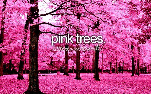 little-reasons-to-smile-love-pink-trees-Favim.com-490957