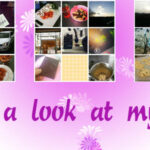 Take a look at my life *week 14*