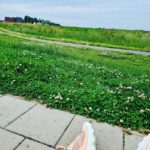 Mijn leven met kleuter 8