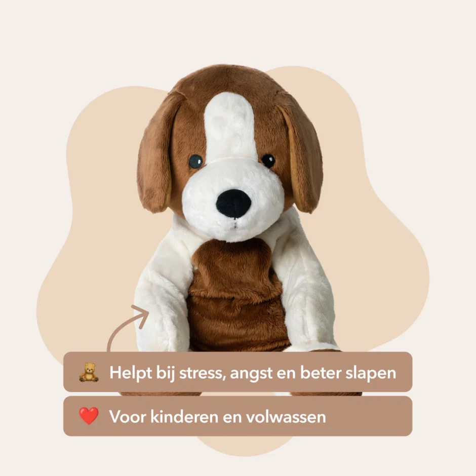 Troost vinden bij een knuffel